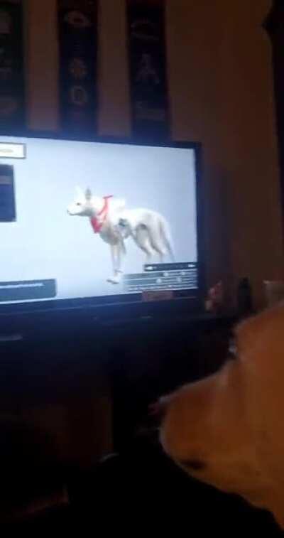 Rocko isn't a fan of seeing himself in Monster Hunter Rise.