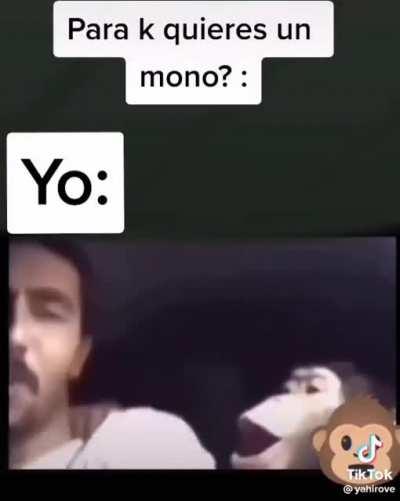 totalyabsolutamenteyo_ctm