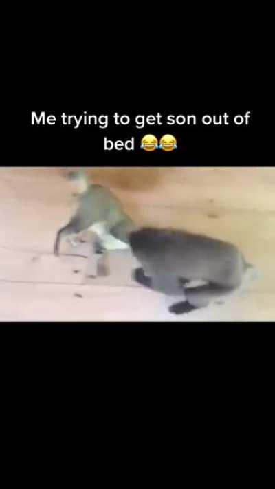 Me trying get son out of bed