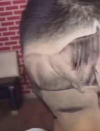 Patron: They call me, Stallion Barber: Say No More