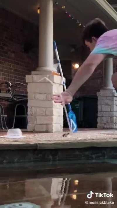 We must enslave the wasps!