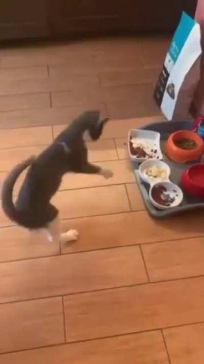 What an adorable little derp