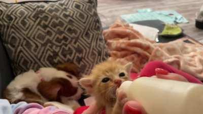 He always performs a flap check while refueling