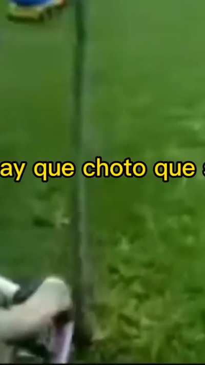 Con el unico arbol te venis a chocar?