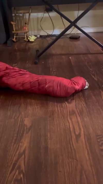 mONGoLian dEatH WOrM rAmPAGe, craZEd CrYPtiD YEarnS For bLOoD