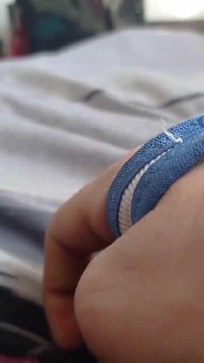 Mantises are so awesome