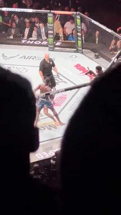 My view of the Izzy KO