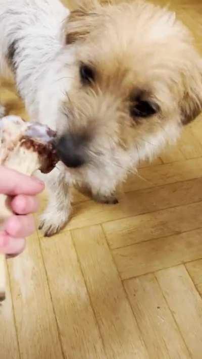 The level of cruelty