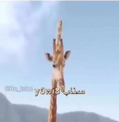 After a hard day of filming for the Nat Geo