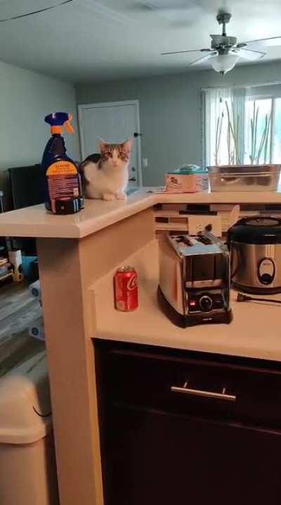 Toast is my favorite snack, it’s easy with no mess or worry…