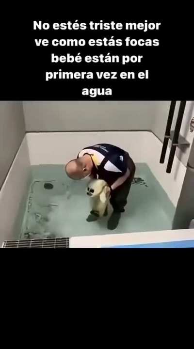 Me parece curioso saben, hay gente que cataloga a los humanos como los animales escoria de la tierra. Pero no veo a otro animal hacer eso por otro.