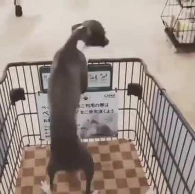 После зарплаты