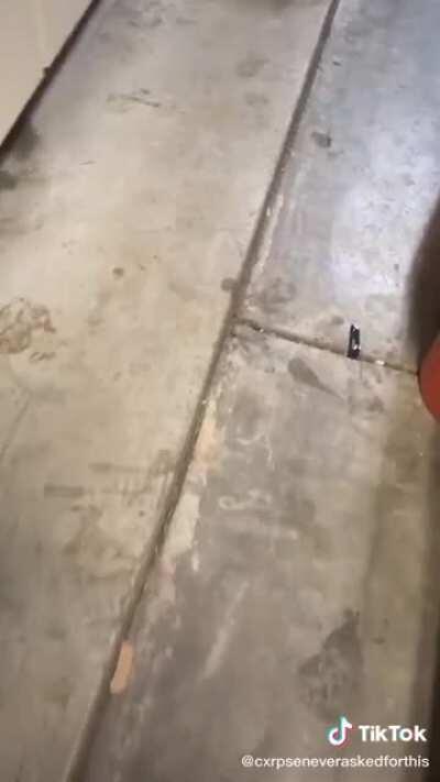 “Let’s see what Darkie’s doin”