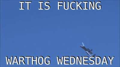 Warthog Wednesday