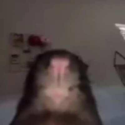 Kai on his phone at 1 am: