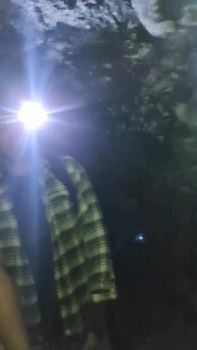 Me in the bois in an abandoned mine late at night like: