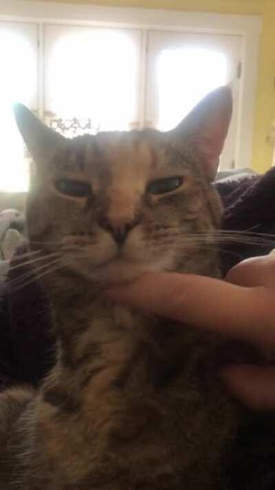 Noisy PURR when I give my baby her chin tickles