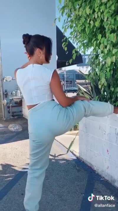 I love Vanessa Hudgens big ass