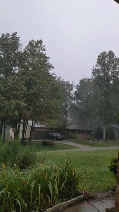 First time I've been able to just sit and watch.