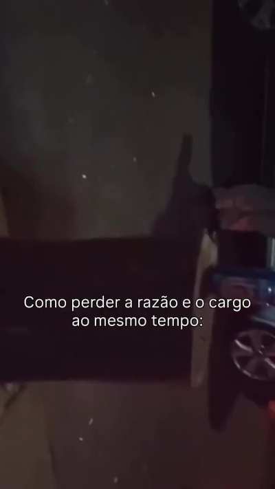 Mina voou igual boneco!