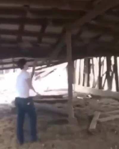 How stupid can you be... xPost r/DontBeStupid