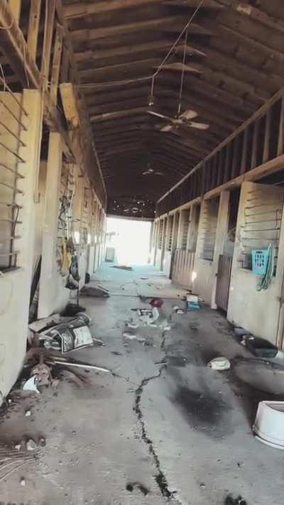 I'm scared for my life 😳 (tprn between cringe and chad)