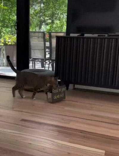 Я тебе уже просто человеческими буквами объясняю!