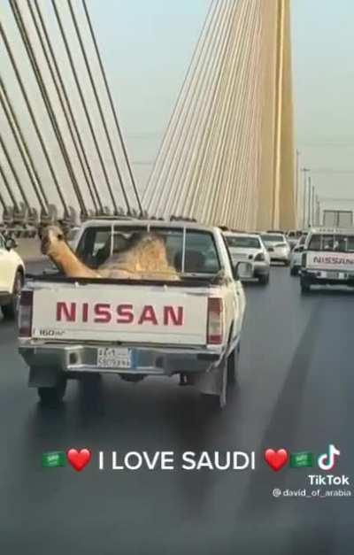 my mom just sent this into the family group chat LMAO