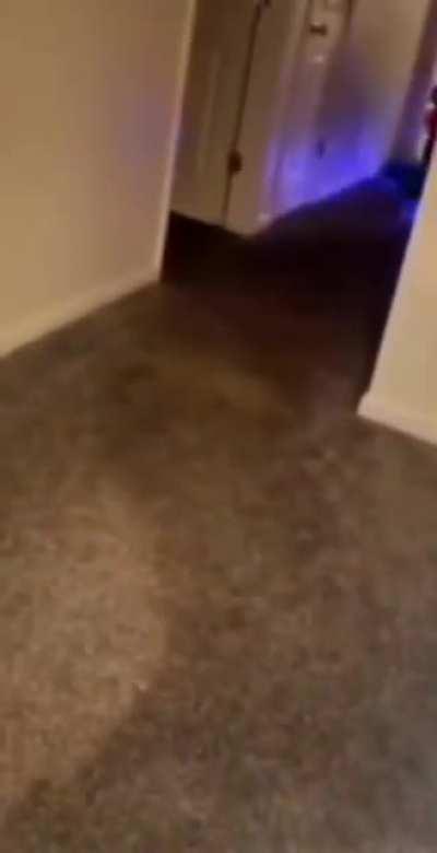 That one gotta hurt.