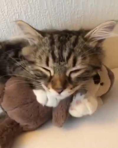 It was his favorite toy.