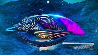 So I’ve finally completed the awful ‘Starbirth’ quest! It was worth the grind though! I love my Living Ship! I’ve never seen one like this before! Is it unusual to have one that lights up like a disco ball!? 😆