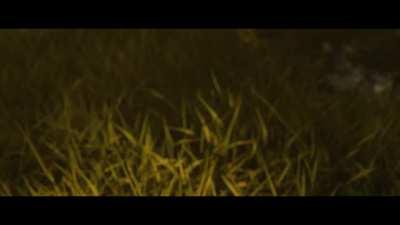 Lethal Company Mini-Series: PILOT