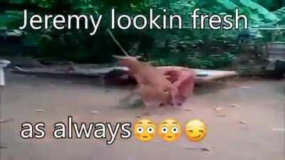 i want you to make a no anime meme with this template i dont have a good video editing software and i dont know how to do ti