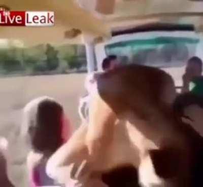 Just wanted to be petted