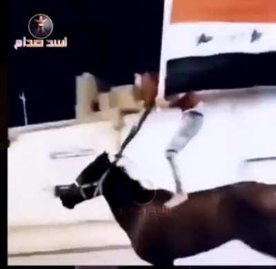 Iraqis on their way to support a dictator they just overthrew