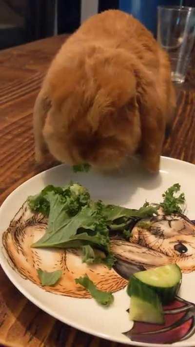 Jonathan having supper on his new plate 🥰