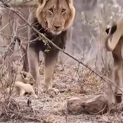 The way he snitched to his mom about dad.. 😅