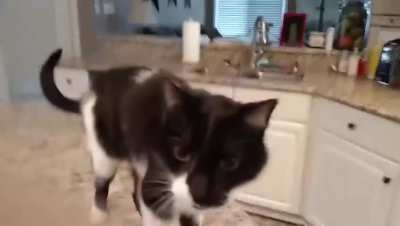 Jack has a deep voice