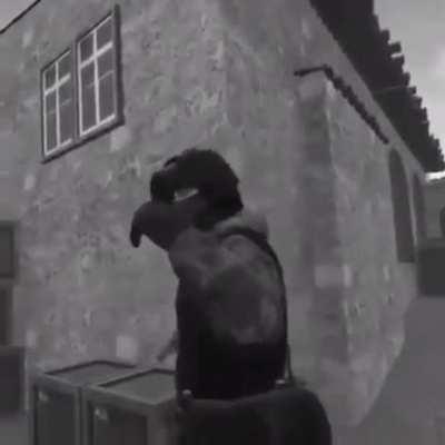 Russian roulette in VR