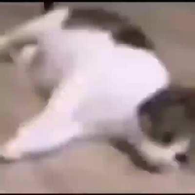 UUUUU O OO O O OO OOAA A A A A A A A A A A A E E E E O O O OO UUUUOOOOOOO A A A A A E E E O OO O O O O