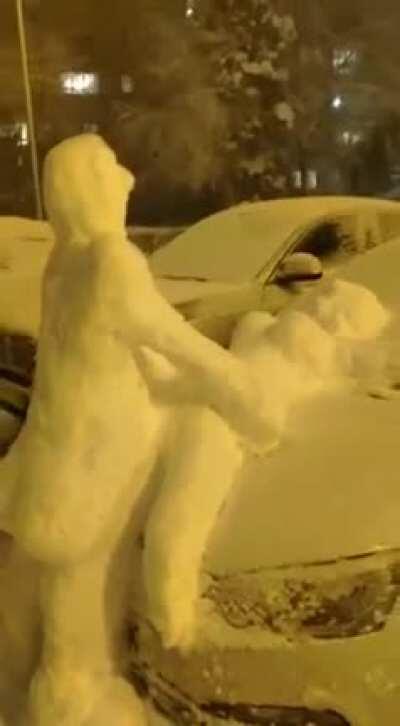 Snow sex