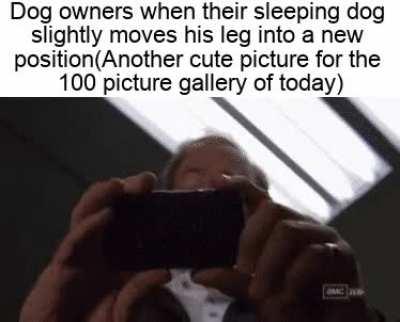 I do this all the time! :D (show me your pets!!)