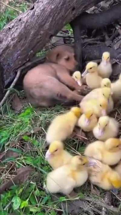 This is why traffic is always so bad in Baton Rouge 😂