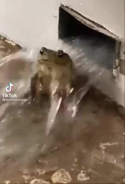 Es ist 💦 Mittwoch, meine Lieben!