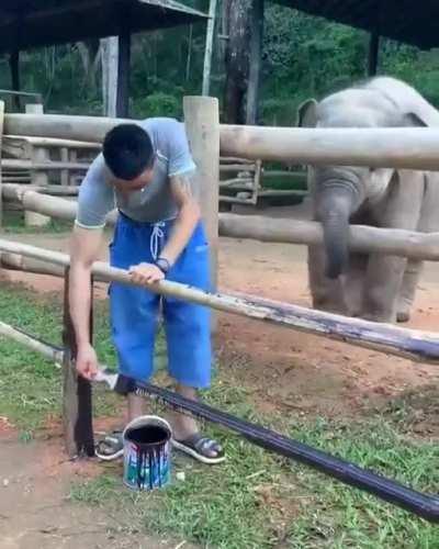 Enough Work, It's time to play now