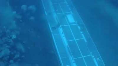 Submarine goes under diver