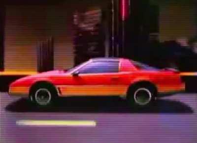 🌴f i r e b i r d 🚘