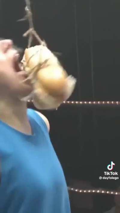 Now this is the type of pro wrestling I can get behind