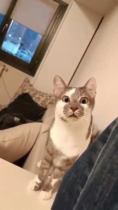 Esperando para el Streem del 31 de Octubre