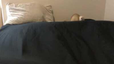 Sailing the Black Sea 🌊 🖤